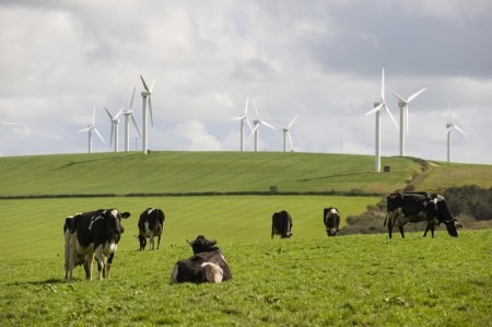 UK wind energy 2015