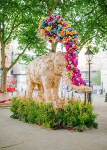 Floral Elephant by Amy O'Boyle at Chelsea In Bloom: Sloane Square Animals